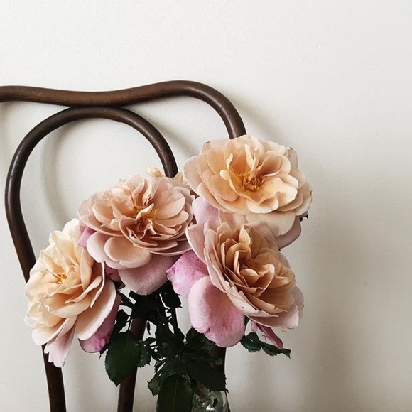 Welcome! - Picture 1 of 1